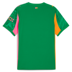 manchester city goalkeeper jersey green 202526 with custom printing Manchester City Shirts | Official Team Gear